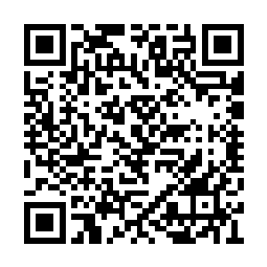 云顶上人自然也不能直接将一个五大至尊赶走了二维码生成