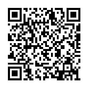 云顶仙宫的整体战斗力是无法和妖族相提并论的二维码生成