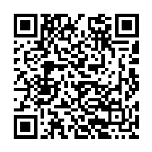 云鹤子前辈在绝笔信中提到过大荒门当年覆灭之事二维码生成