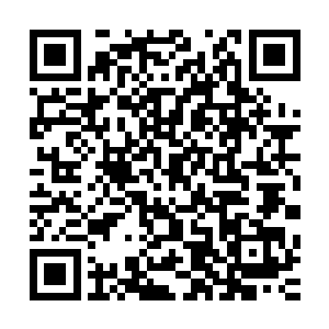 云龙区公安分局的局长在冯正诚书记面前也不过只是小官一位二维码生成