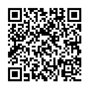 五万余修士又开始慢慢地顺着雷霆木森林向着前方移动二维码生成