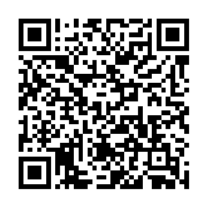 五万魔族的精血会因此而凝聚在一起形成一种魔族守护二维码生成