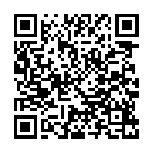 五个不同属性的阵盘围成的大阵只包括方圆百米二维码生成