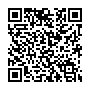 五个世界最顶级的高手居然只在这里当守擂的人二维码生成