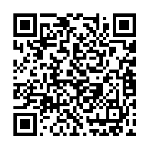 五个人中的一个人瞬间感觉自己的身子在不断的颤二维码生成