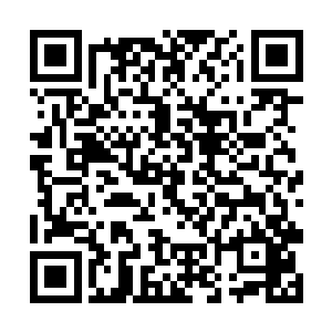 五个元气之池中的元气浓度已经达到极其恐怖的程度二维码生成