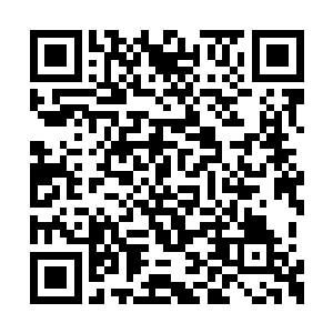 五个族长立刻将抽调族内高手的事情交给了手下二维码生成