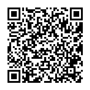 五个白族英灵加上燕山魂和原已经杀到了那个被定住的域外天魔的身旁二维码生成