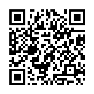 五人以上的团队全程下来要几十万美元二维码生成