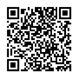 五人在他离开前时的医术明明都已经有了独立坐诊的水平二维码生成