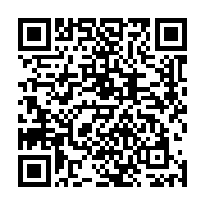 五人拉帮结伙在一个夜黑风高的夜晚悄悄来到了穆家的牧区二维码生成