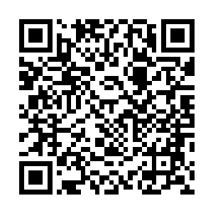 五位掌旗使每人率领一个战队杀入鬼皇殿获取传承和资源二维码生成