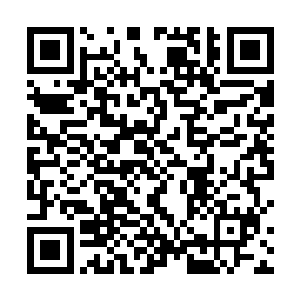 五位顶尖导演之间的竞争丝毫不逊色与最佳影片的架势二维码生成