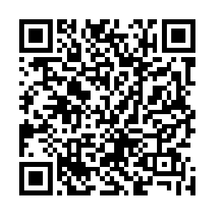 五位齐心合力的食骨部巫王竟在这一刻生出极为渺小的错觉二维码生成