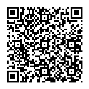 五分之一的人过了这个雪天就要做为真正的猎手开始参与到狩猎和部落的守卫中去二维码生成