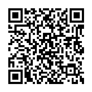 五十人艰难的将对白心以及叶竹的好奇压在心底二维码生成