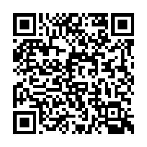 五千年前雷帝就是取火种的时候意外发现灵脉的二维码生成