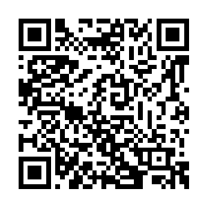 五只手指都已经深深插入六耳猕猴的身体之中了二维码生成