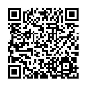 五名修神期修士忽然间向五个不同方向逃窜出去二维码生成