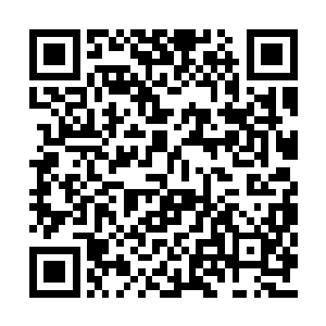 五大势力弟子中的最强者除了飞剑门的范幂之外二维码生成