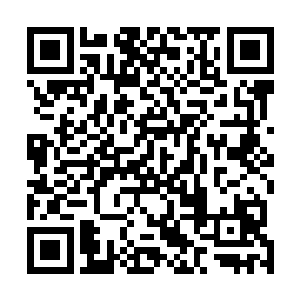 五夫人从长兴侯家带出的陪嫁嬷嬷樊氏正在指挥丫头做事二维码生成