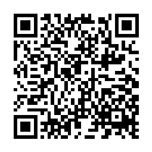 五姐姐该不会真的以为我是真的好心的帮她看铺子二维码生成