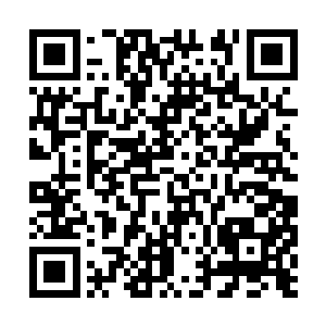 五小姐如果一生气撕掉古灵的衣服还是比较现实的二维码生成