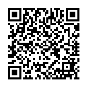 五德书院的人一定会在附近掘地三尺来寻找凶手二维码生成