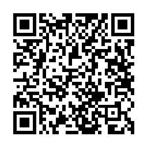 五成多的圣元加上两成多的元神之力再加上四成掌控的圣域绝学二维码生成