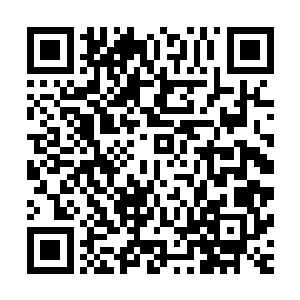 五本光此时看着洪大力的眼神就好像在看一截已经枯萎的木头二维码生成