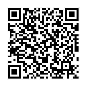 五根手指和手掌手臂的骨头在巨锤的恐怖力量下全部粉碎二维码生成