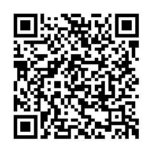 五爪金龙可没指望过他这么快就突破到了第二重二维码生成