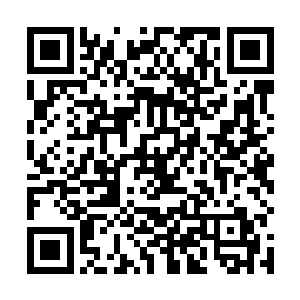 五王尊和六王尊看到我们两个在一直帮助亚王尊的时候二维码生成