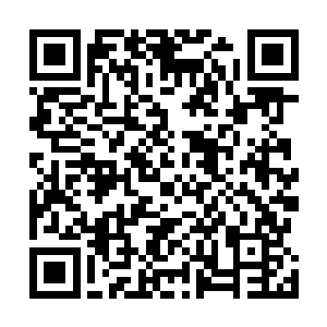 五百万美金刚打给你　不要这么快就翻脸不认人　好么　二维码生成