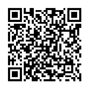 五百二十间院线对二十五间院线已经是胜之不武了二维码生成