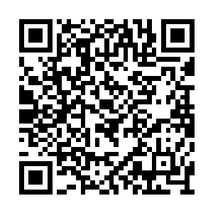 五艘星君舰就是分担的盾牌……挡一下就可以了二维码生成