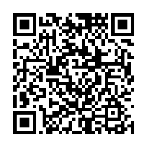 五花八门的法器朝着无极宗修士这里密集地飞过来二维码生成