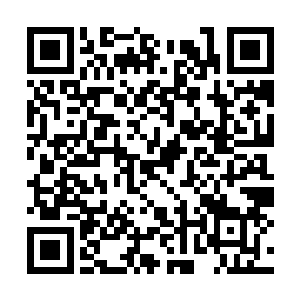 五行圣元诀便有相配合的一套极为强大的仙术神法二维码生成