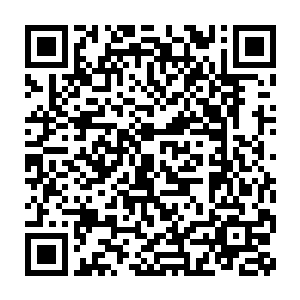 五行茧房中央悬在那的巨大的茧上趴着一只五六米高大的金色巨人二维码生成