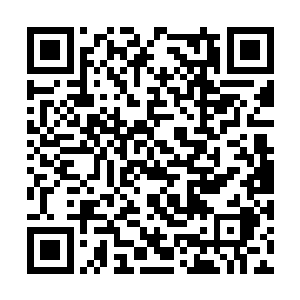 五辆豪华轿车组成的车队像是一条长龙般向前开去二维码生成