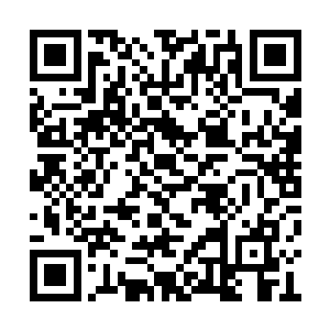 五道魔法元素却已经在蛟马魔核内互相萦绕起来二维码生成