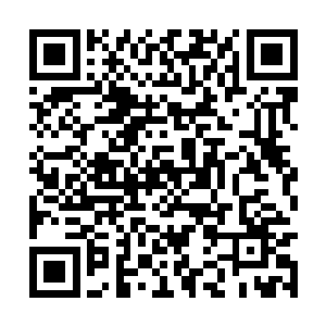 五颗大头却在研究被放在酒店大床上的机器人残骸二维码生成