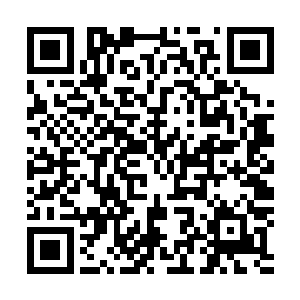 井然有序的通过那气势恢宏的高大门墙缓缓的进入拍卖会场二维码生成