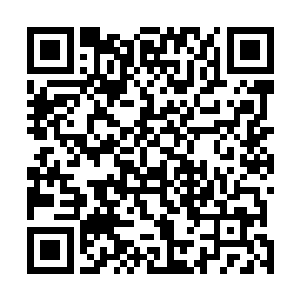 亘古不变的冷硬表情上不不由得牵扯出了一个讥讽的笑容二维码生成