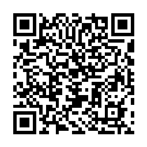 亚历克斯估计就是在雨果前往戛纳的这段时间投入拍摄的二维码生成