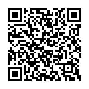 亚当可不是那种用计算模式模拟出来的人工智能二维码生成
