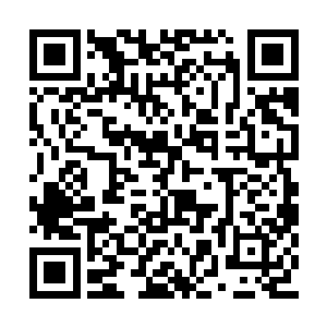 亚当烦躁的掰着自己的手指仿佛在继续计算什么二维码生成