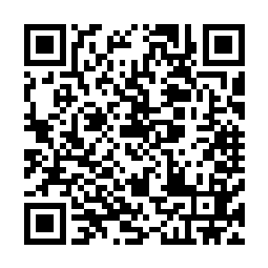 亚德里恩和他的红珊瑚资本在其他人的眼里也许充满了神奇二维码生成
