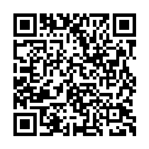 亚洲范围内的几个捕捞点都被茱莉娅公司控制了二维码生成