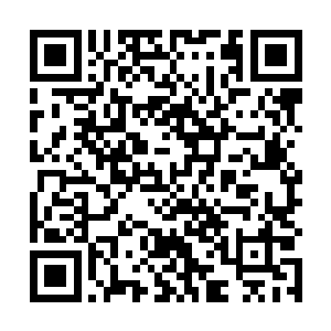 亚部落的地皮和地爬两兄弟刚跑过来看晶部落人抓地睛二维码生成